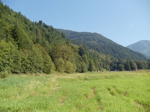 r2224885