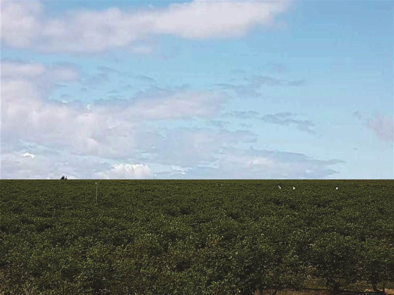 r2337300
